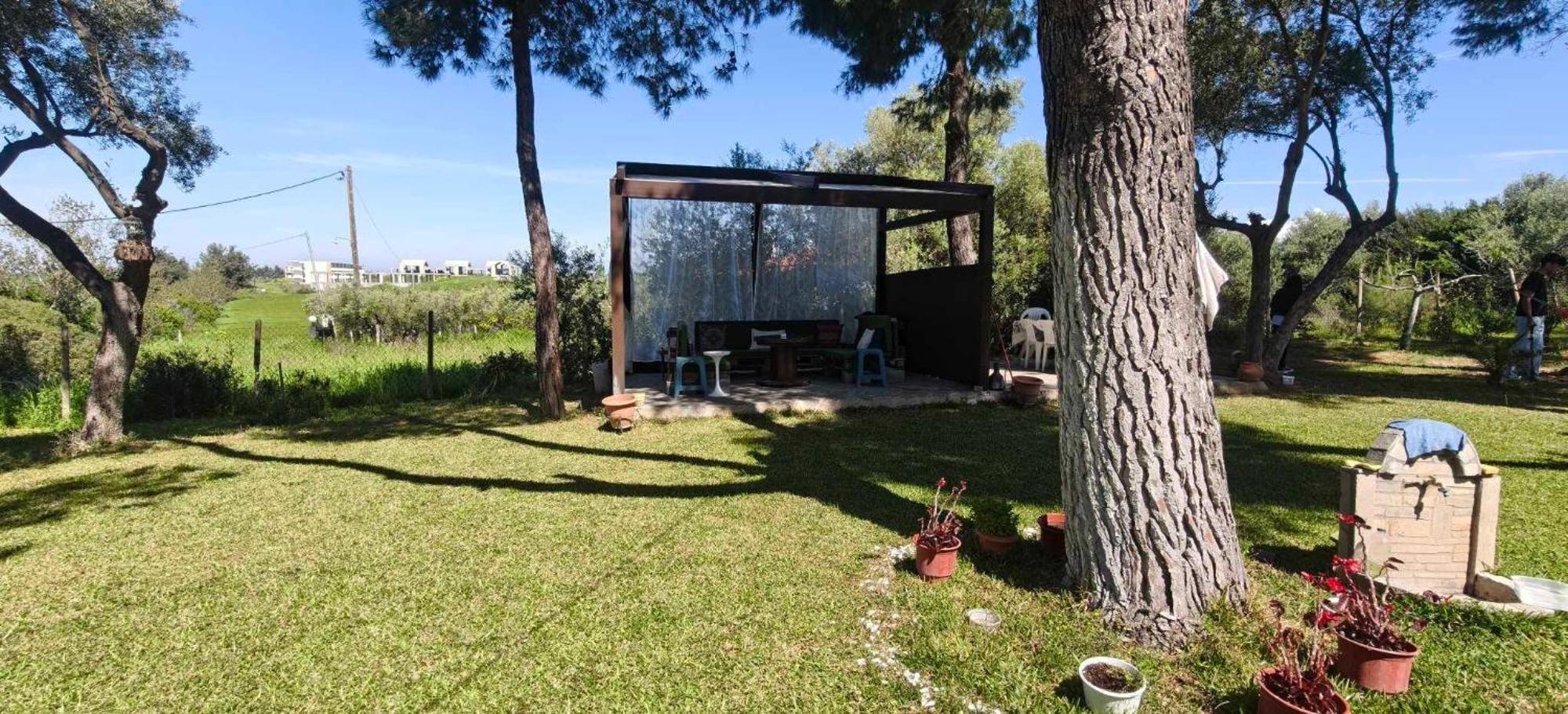 Golden Summer Apartment Néa Fókaia Zewnętrze zdjęcie